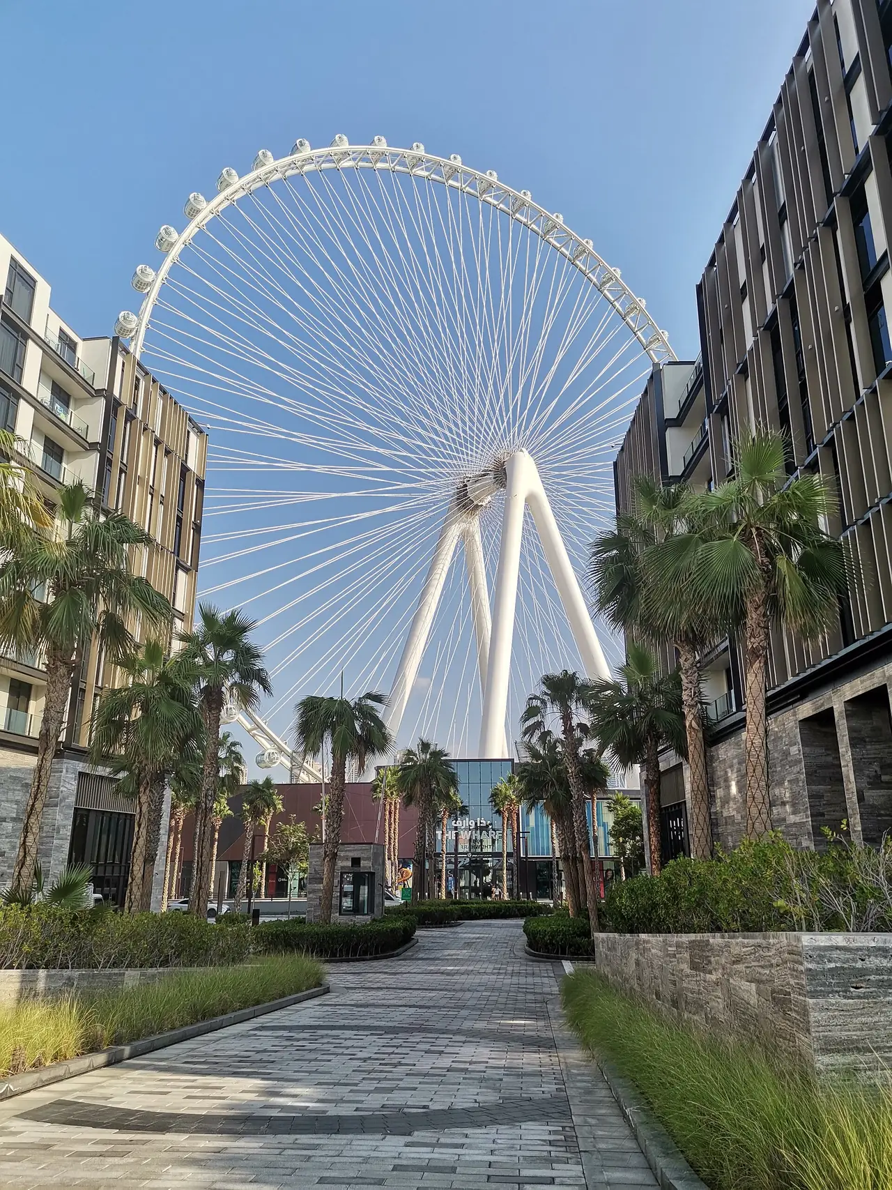 ล้อ Ain Dubai ที่ Bluewaters มองจากทางเดินระหว่างอาคาร ภาพจาก Wikimedia Commons ผู้ถ่าย Aidan-dubai2024 สัญญา CC BY-SA 4.0