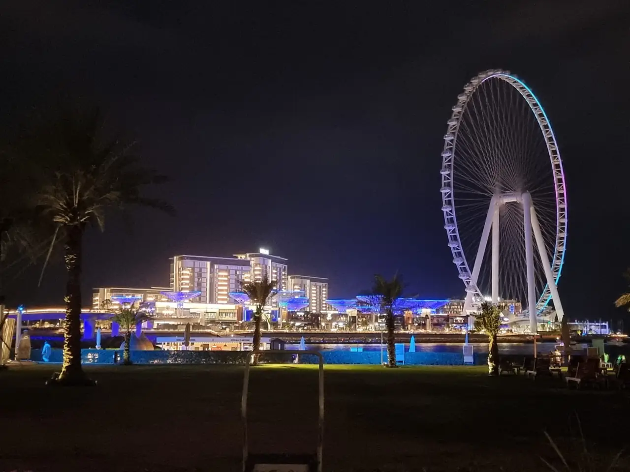 ล้อ Ain Dubai กับไฟสีเมื่อมองจาก Bluewaters ยามค่ำ ภาพจาก Wikimedia Commons ผู้ถ่าย Roxy3115 สัญญา CC BY-SA 4.0