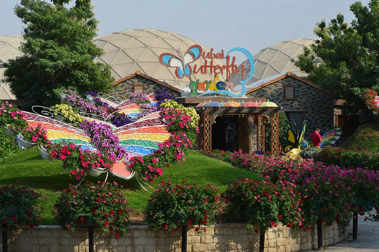 ทางเข้า Dubai Butterfly Garden ใกล้ Miracle Garden ภาพจาก Wikimedia Commons ผู้ถ่าย Ginevrajocosa88 สัญญา CC BY-SA 4.0