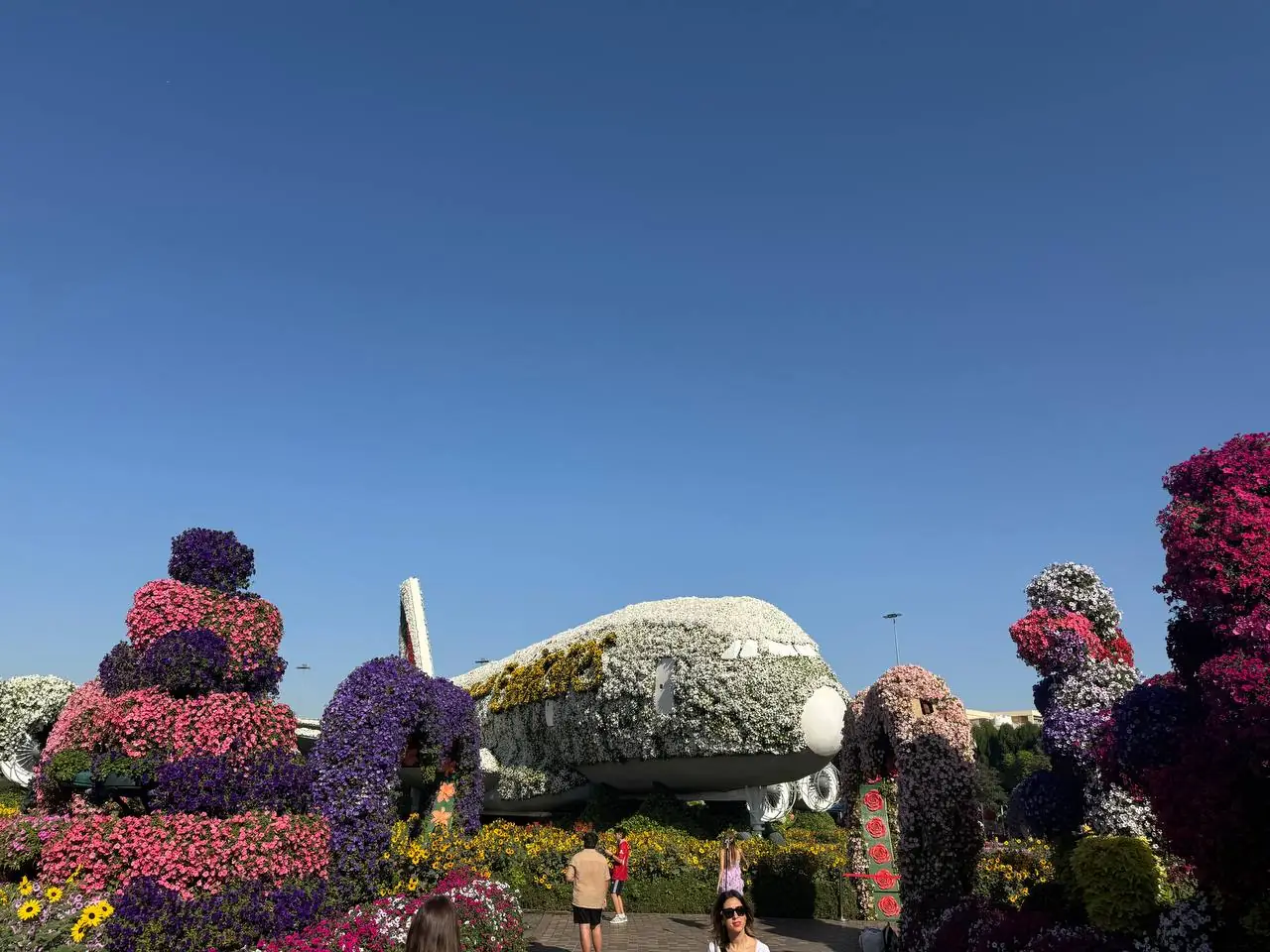 เครื่องบินเอมิเรตส์ A380 ที่ทำจากดอกไม้ใน Miracle Garden ภาพจาก Wikimedia Commons ผู้ถ่าย Arwenmajer สัญญา CC BY-SA 4.0