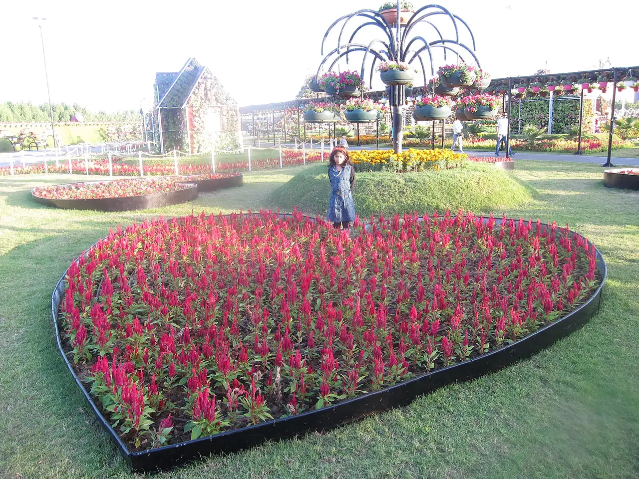 แปลงดอกไม้รูปหัวใจใน Miracle Garden ภาพจาก Wikimedia Commons ผู้ถ่าย Shijan Kaakkara สัญญา CC BY-SA 4.0