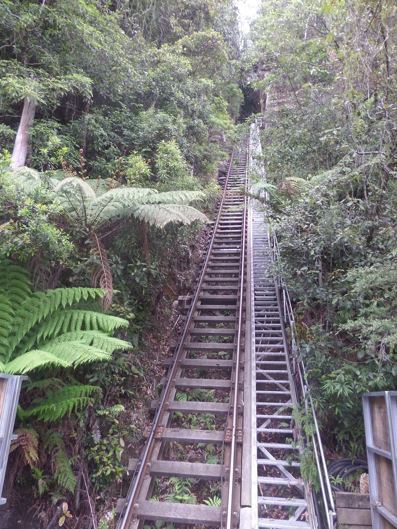 ทางรถรางชันของ Scenic Railway คาทูมบา ภาพถ่ายจาก Wikimedia Commons