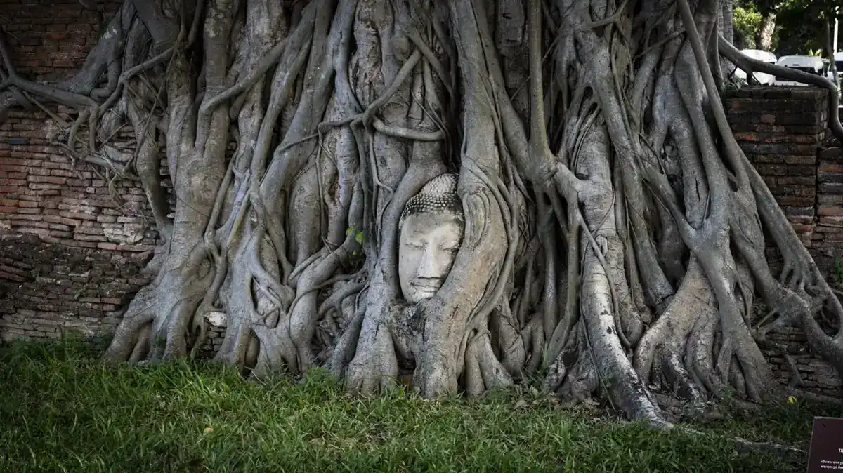 อยุธยา