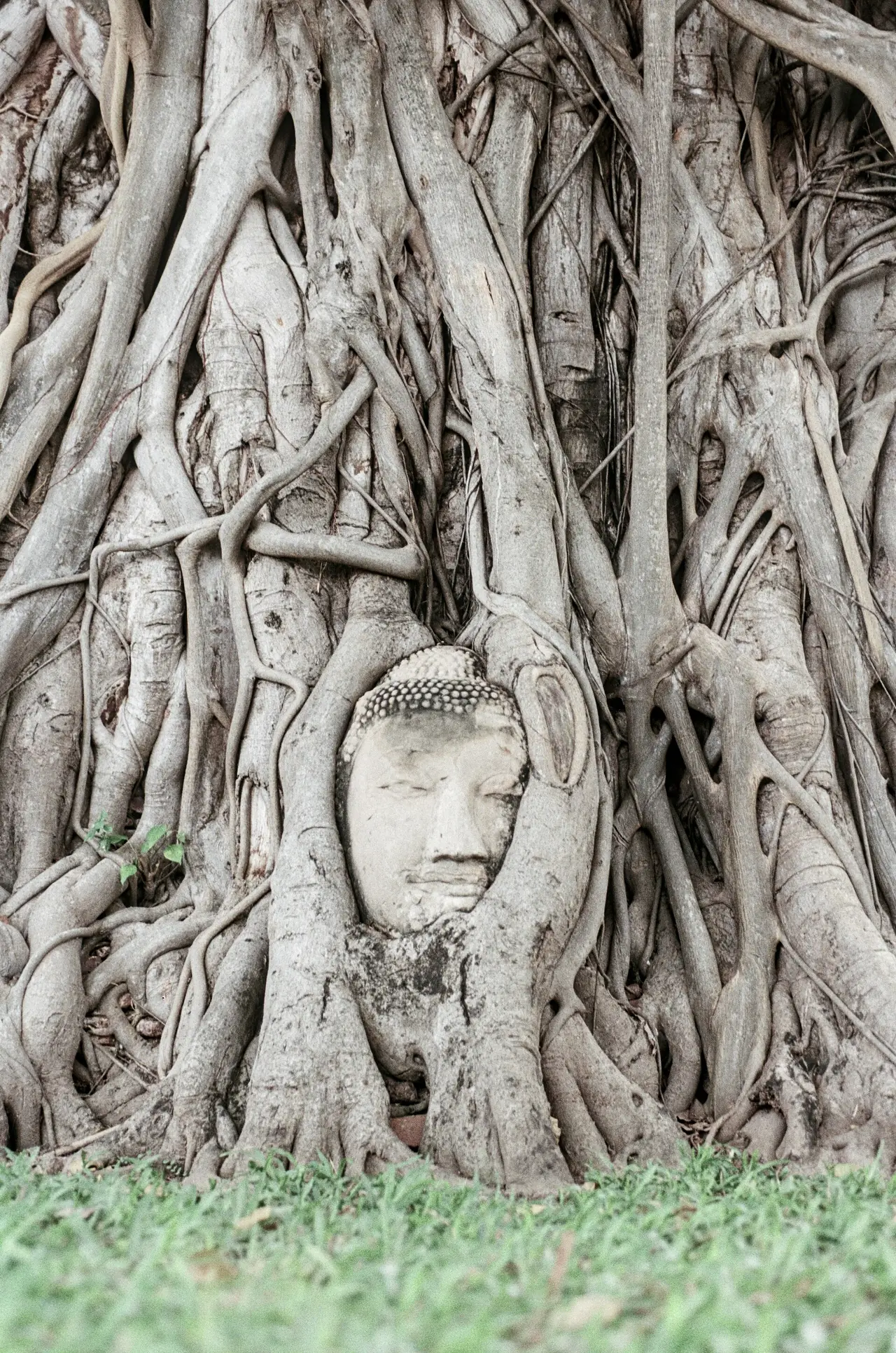 ภาพประกอบ อยุธยา: อุทยานประวัติศาสตร์อยุธยา ค่าเข้า เวลาเปิด ตั๋วรวมวัด