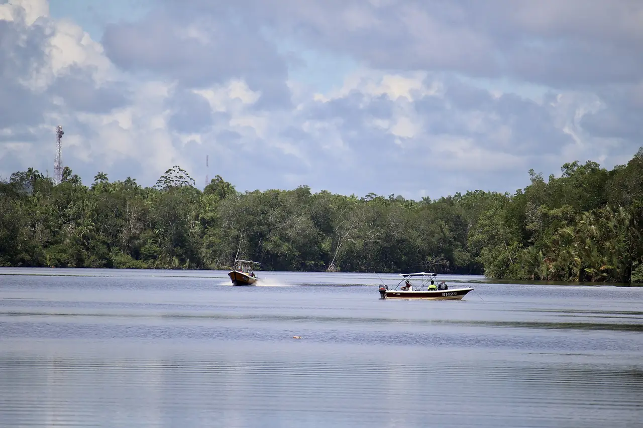 เรือสองลำบนแม่น้ำตูตงและแนวป่าชายเลน ภาพจาก Wikimedia Commons ผู้ถ่าย Pangalau สัญญา CC BY-SA 4.0