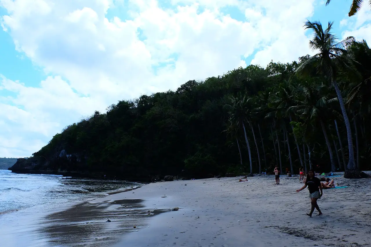 หาด Crystal Bay มีต้นมะพร้าวด้านหลังและมีผู้คนบนหาด (ภาพชายหาด)
