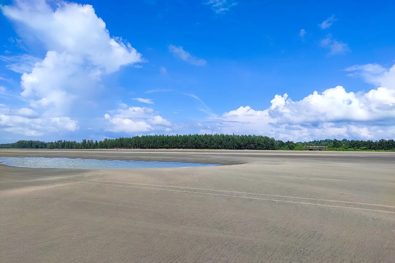 หาดอินานีมองไปทางแนวป่าสนริมหาด ภาพจาก Wikimedia Commons ผู้ถ่าย Moheen Reeyad สัญญา CC BY-SA 4.0