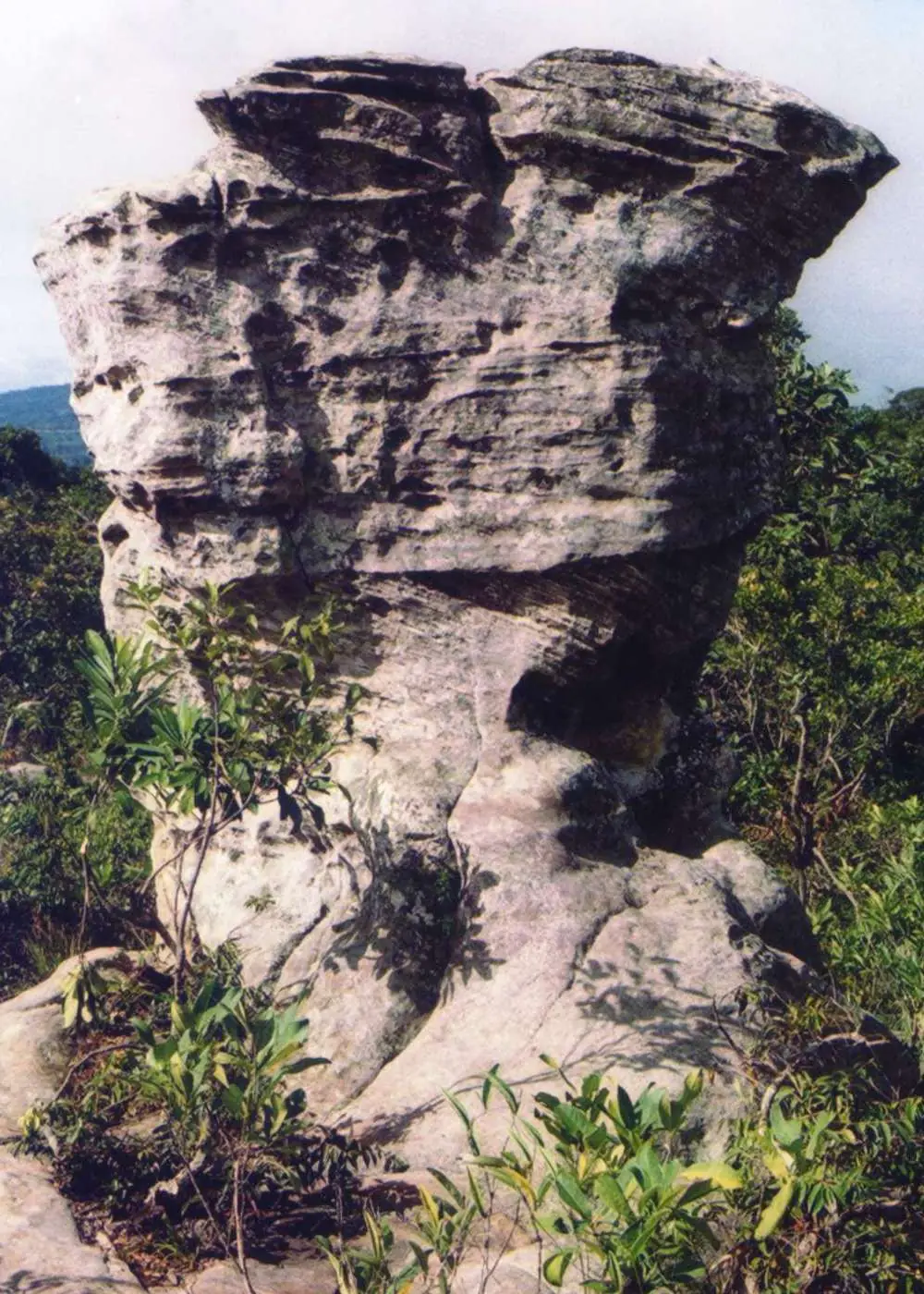 หินทรายที่ถูกกัดเซาะเป็นรูปร่างแปลกที่อุทยานแห่งชาติป่าหินงาม ภาพของ Ahoerstemeier จาก Wikimedia Commons ใบอนุญาต CC BY-SA 3.0 คอมมอนส์ระบุเพียงว่าเป็นหินที่ป่าหินงาม