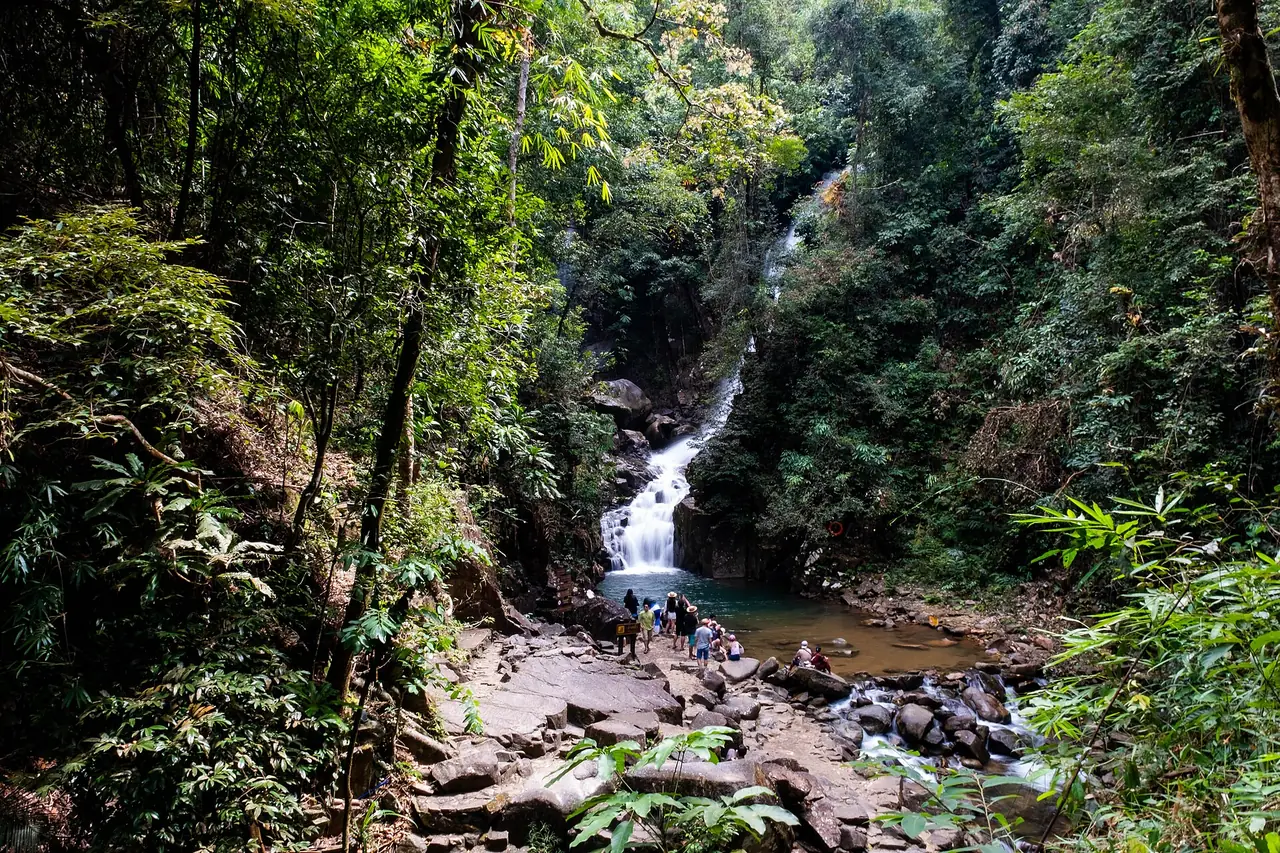 น้ำตกเล็กในป่าอุทยานแห่งชาติน้ำตกพลิ้ว ภาพถ่ายจาก Wikimedia Commons (Jomis 9, CC BY-SA 4.0)
