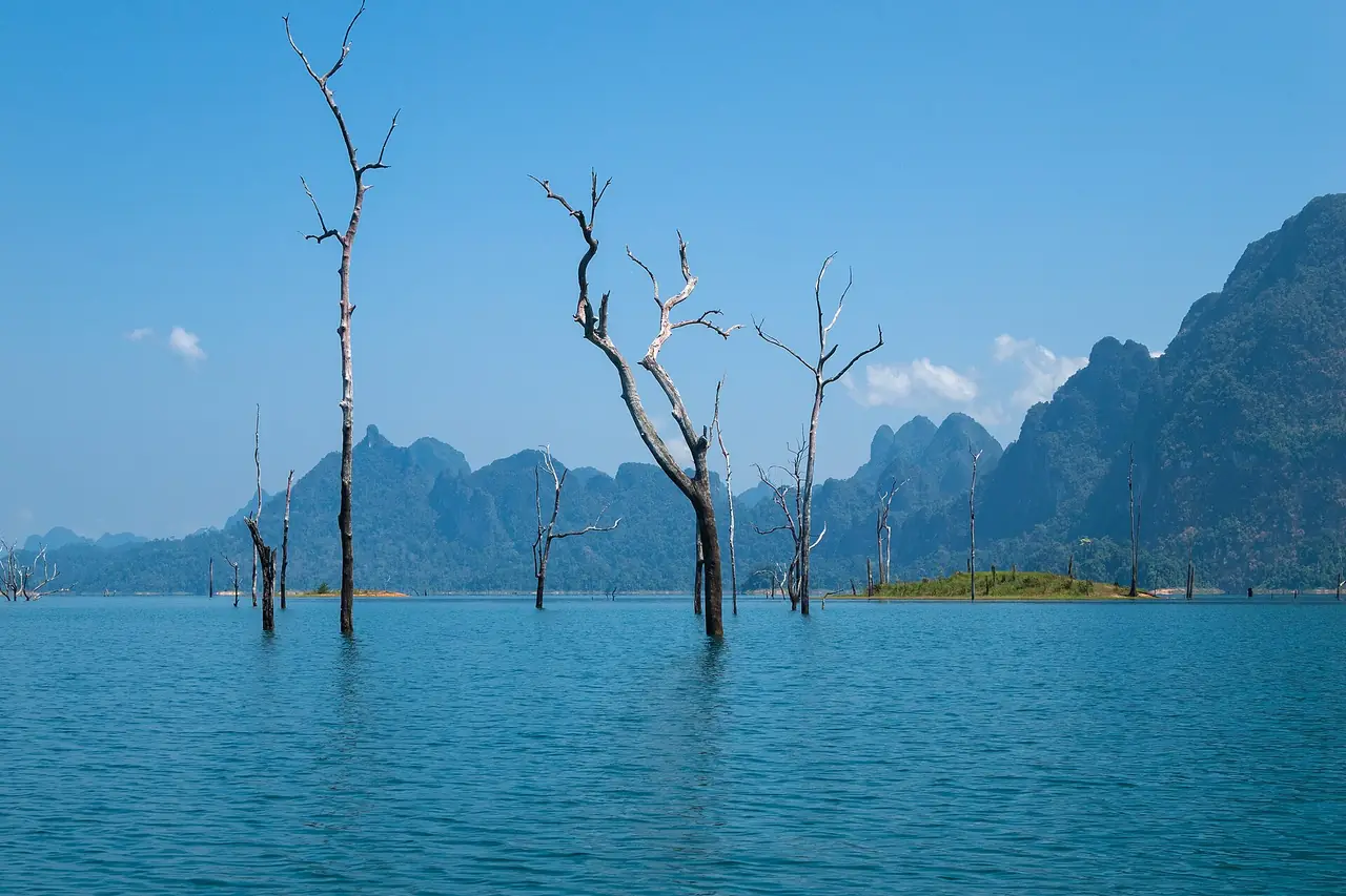 ต้นไม้ยืนต้นตายกลางทะเลสาบเชี่ยวหลานที่ฟ้าใส ภาพของ Vyacheslav Argenberg จาก Wikimedia Commons ผู้ถ่ายบรรยายว่าเป็นร่องรอยป่าเดิมที่จมน้ำ