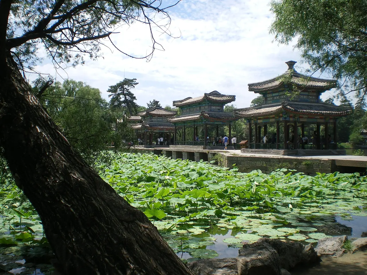 ศาลาริมสระบัวในเขตตำหนักร้อนเฉิงเต๋อ ภาพจาก Wikimedia Commons ผู้ถ่าย takwing.kwong สัญญา CC BY-SA 2.0