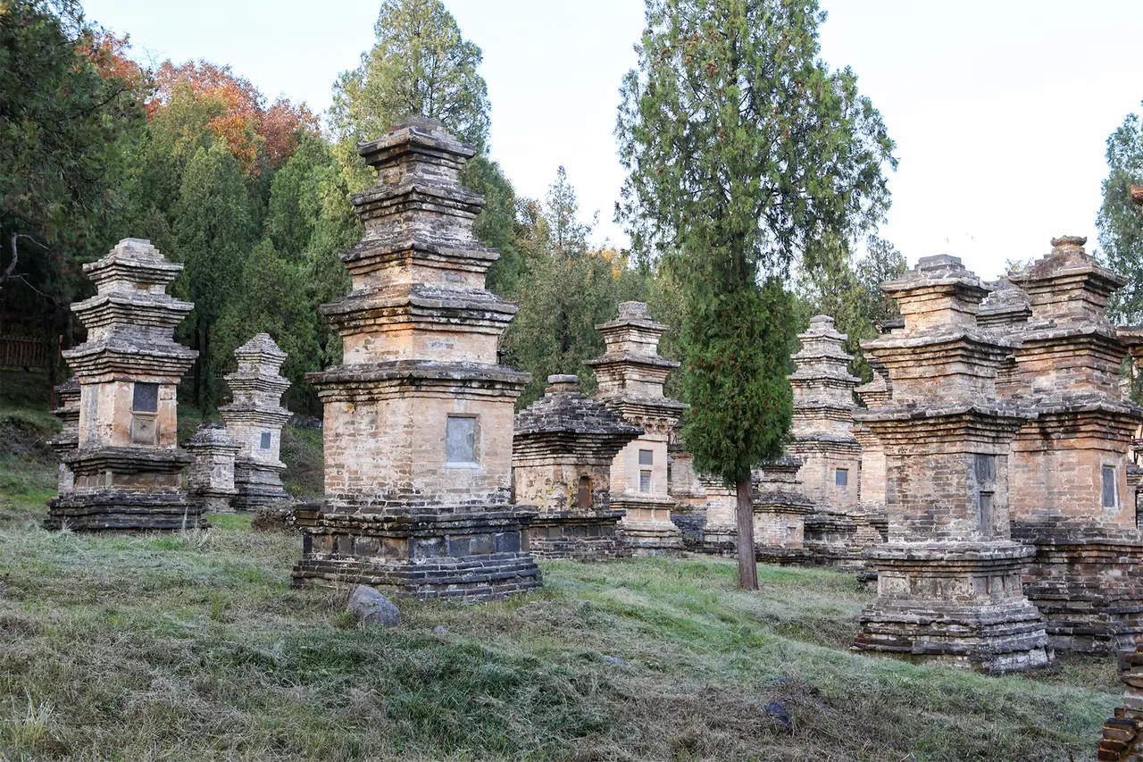 ป่าเจดีย์ใกล้วัดเส้าหลินอีกมุมหนึ่ง มีต้นไม้ใบเปลี่ยนสี ภาพจาก Wikimedia Commons ผู้ถ่าย Windmemories สัญญา CC BY-SA 4.0 ถ่ายเดือน พ.ย. 2025 ตามชื่อไฟล์