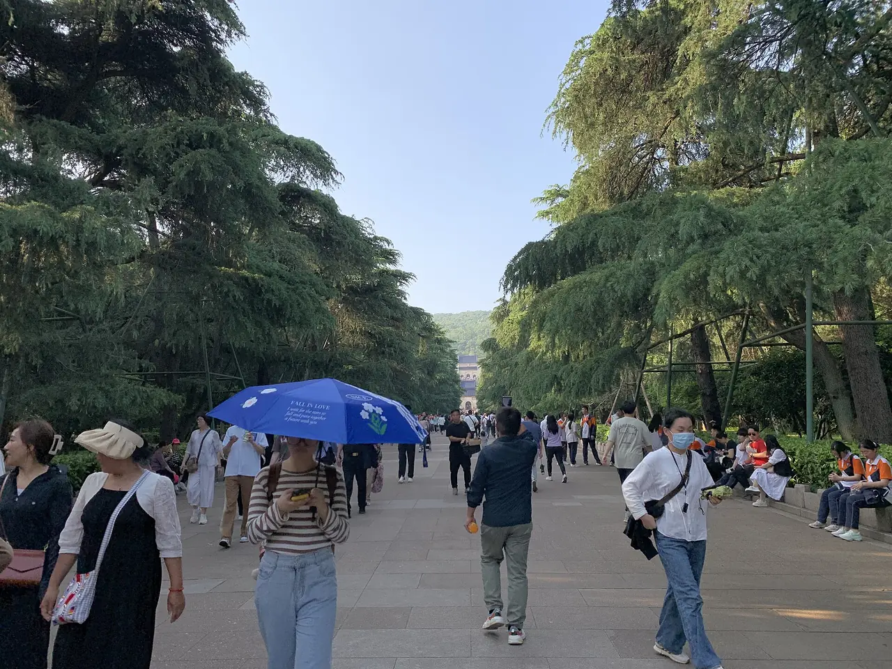 ทางเดินเข้าสู่สุสานซุนยัตเซ็นมองจากต้นทางขึ้นไปตามแนวต้นสน เห็นผู้คนเดินและกางร่ม ภาพจาก Wikimedia Commons ผู้ถ่าย Chainwit สัญญา CC BY 4.0 ภาพปี 2567 ที่เห็นคนแน่นช่วงวันหยุด