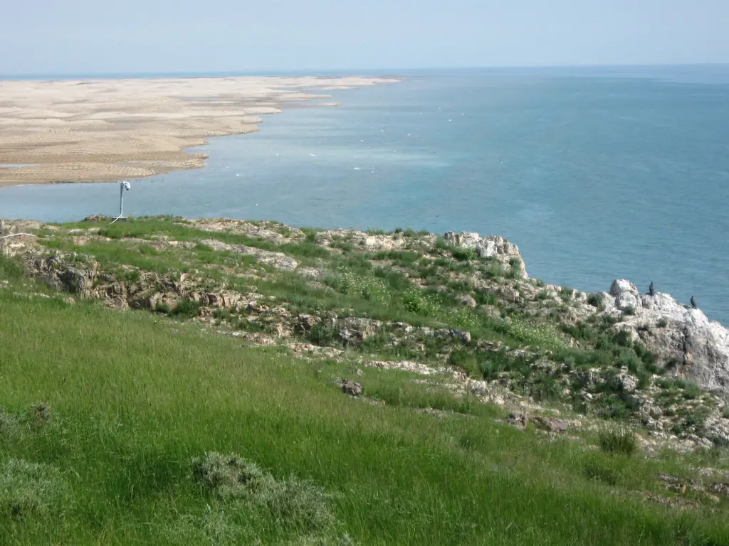 โขดหินริมทะเลสาบในเขตอนุรักษ์นกชิงไห่ ภาพจาก Wikimedia Commons ผู้ถ่าย sylvannus สัญญา CC BY-SA 3.0 ไม่ระบุปี ตามคำอธิบายของ Commons ว่าเป็นเขตเกาะนก