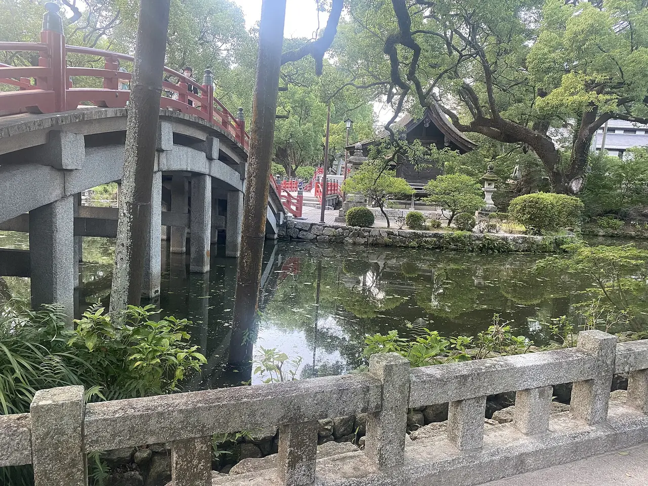 สะพานโค้งไม้สีแดงข้ามสระในบริเวณศาลเจ้า