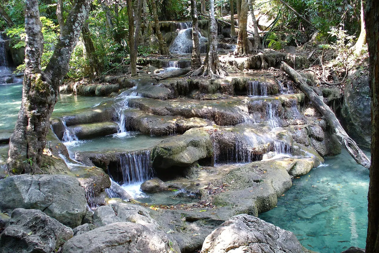 A pool on the Erawan waterfall, with the forest closing in around the water