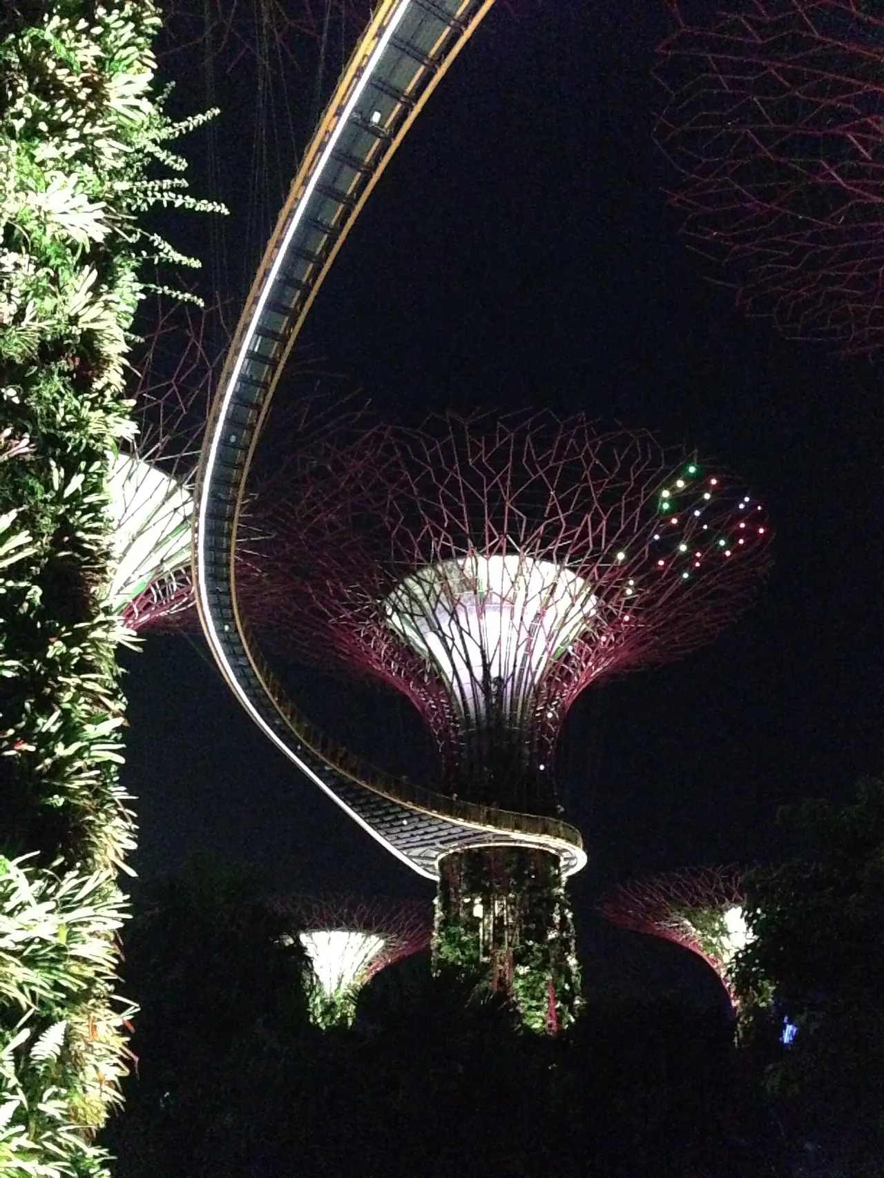 ซุปเปอร์ทรียามค่ำและทางเดินลอยฟ้า Gardens by the Bay