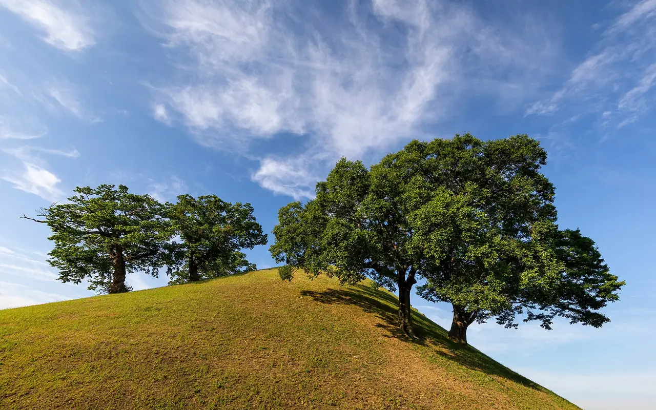 เนินสุสานโนดงรีที่มีต้นไม้เอนอยู่บนยอดเนิน ในย่านสุสานหลวงของตัวเมือง (ภาพเนินหญ้าใต้ท้องฟ้า)