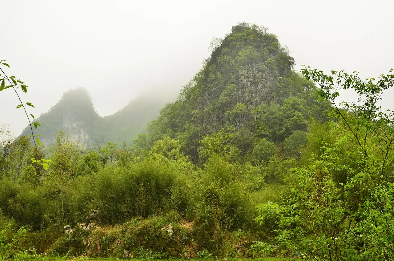 เสี่ยวชีขง หลี่ป๋อ ภาพถ่ายโดย Fanghong