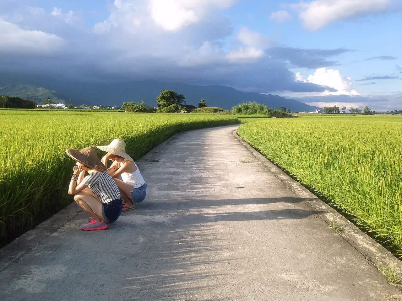 ทางจักรยานกลางนาข้าวที่ฉือซ่าง ไถตง ปลายหุบเขา