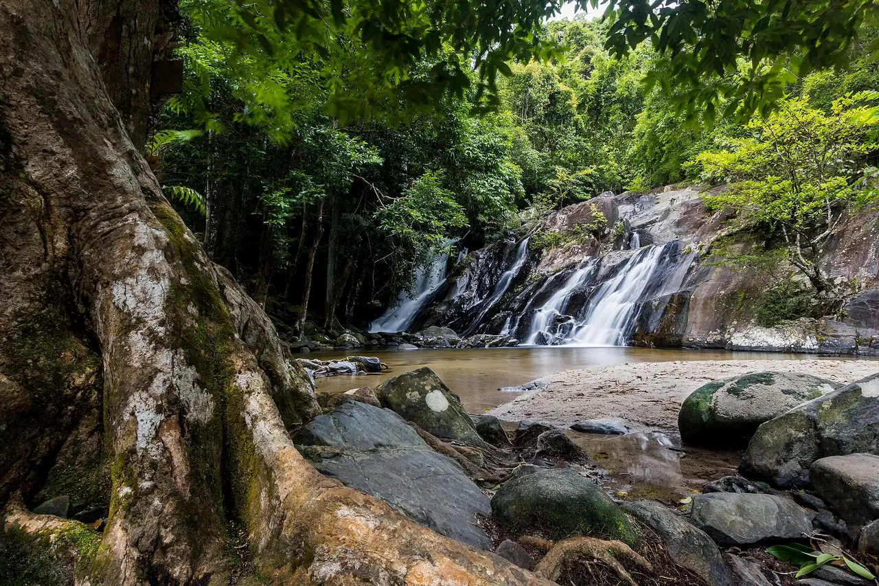 น้ำตกโตนงาช้าง หาดใหญ่ ภาพของ Ta740iteau จาก Wikimedia Commons ใบอนุญาต CC BY-SA 4.0 ผู้ถ่ายระบุว่าถ่ายเมื่อ 21 ก.ค. 2561 และไม่ได้ระบุว่าเป็นชั้นไหน เป็นภาพประกอบ ไม่ใช่สภาพปัจจุบัน