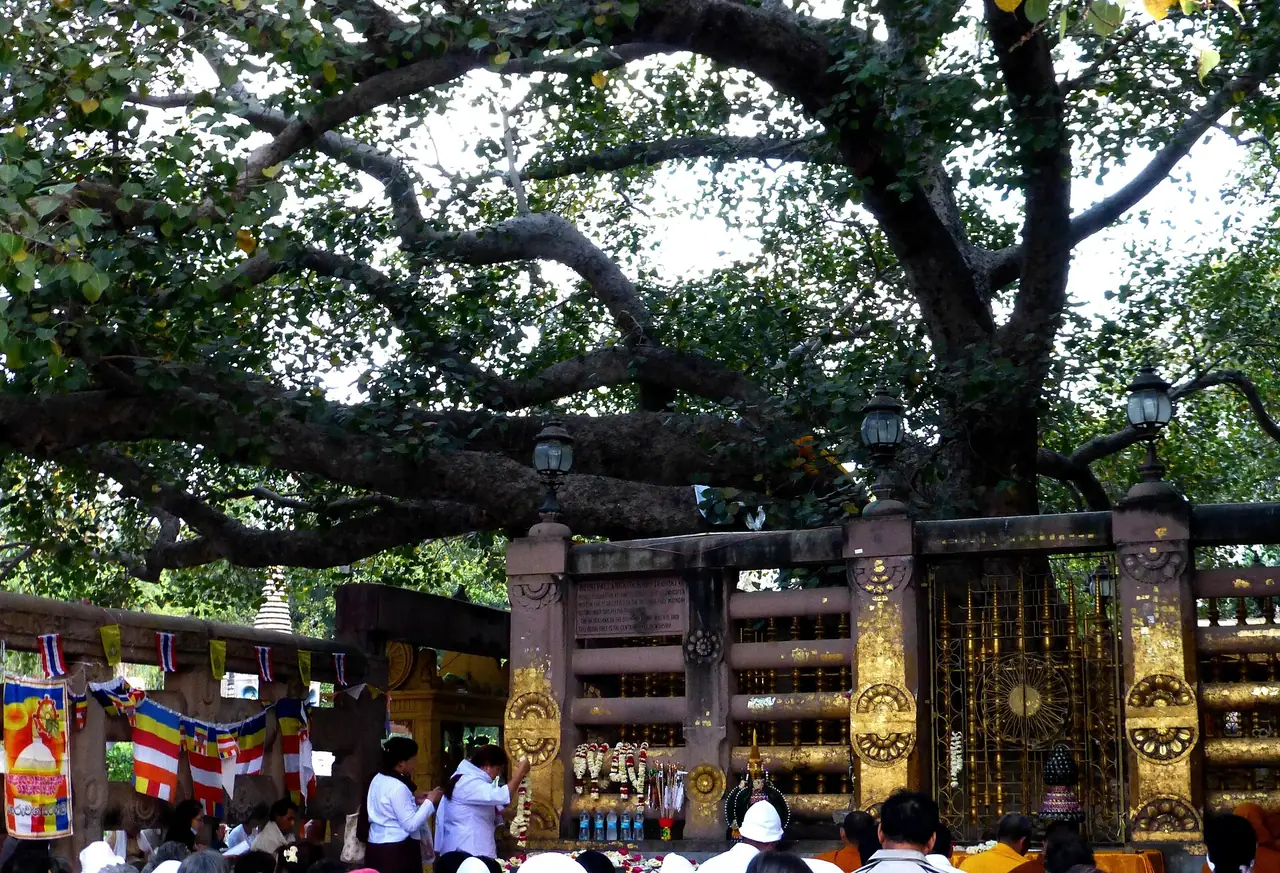 ภาพอินเดีย: พุทธคยา วัดมหาโพธิ์ ต้นพระศรีมหาโพธิ์ วัดไทย สุชาดา 2569