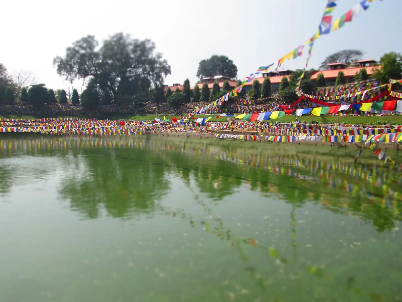สระมุจลินท์ (Mucalinda Lake) และธงมนตราทิเบตรอบสระ พุทธคยา ภาพจาก Wikimedia Commons ผู้ถ่าย Ktoya สัญญา CC BY-SA 3.0