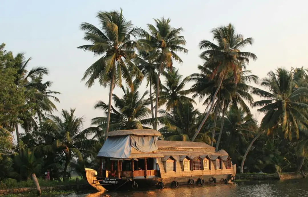 บ้านเรือหลังคามุงจากแล่นผ่านแนวมะพร้าวริมน้ำที่อัลเลปปี ภาพจาก Wikimedia Commons ผู้ถ่าย 16paruljain สัญญา CC BY-SA 4.0