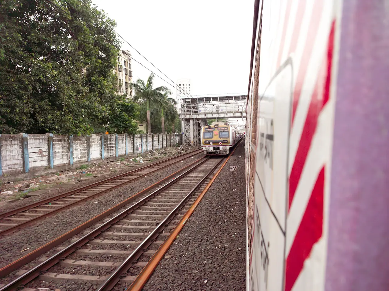 รถไฟ Local ของมุมไบวิ่งผ่านบนรางระหว่างสถานี ภาพนี้เห็นรางและขบวนรถ ไม่ใช่ภาพชั่วโมงเร่งด่วน ภาพจาก Wikimedia Commons ผู้ถ่าย Pratishkhedekar สัญญา CC BY-SA 4.0