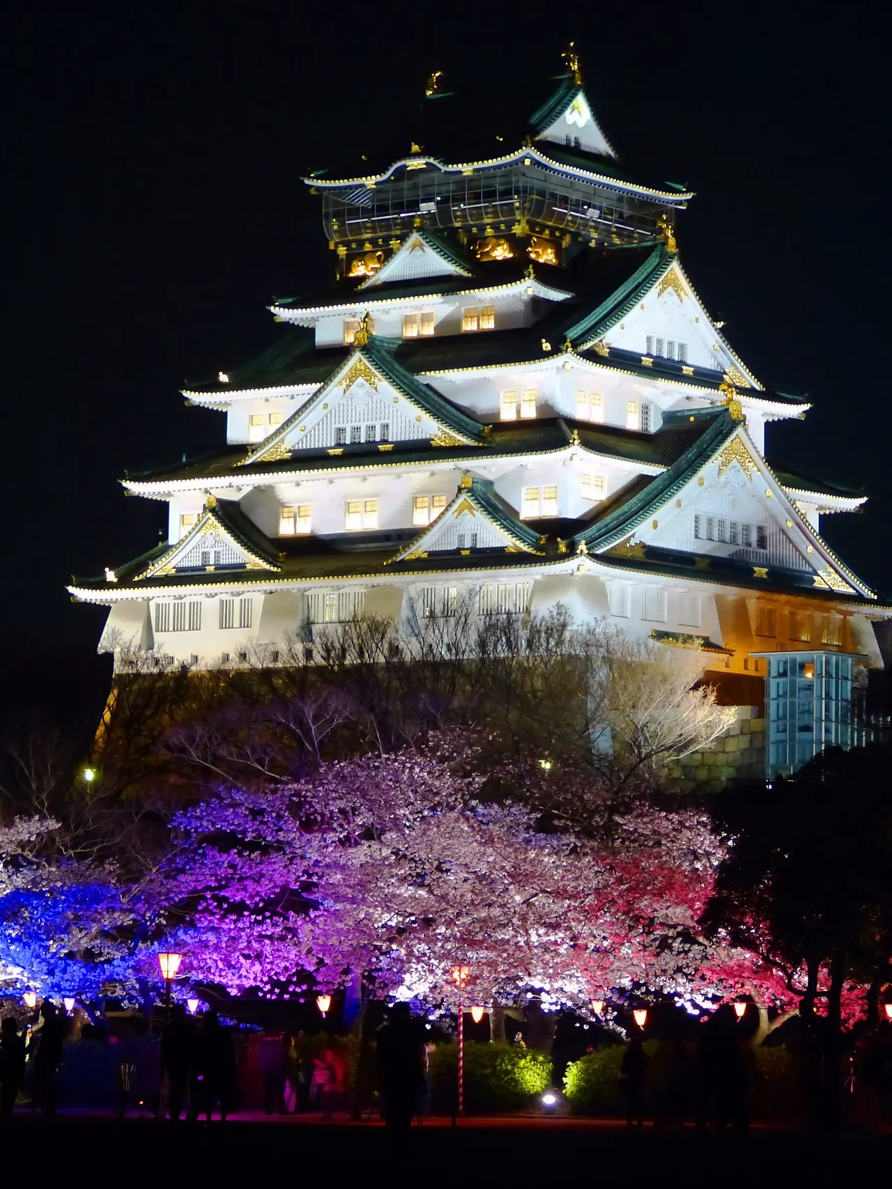 หอคอยปราสาทโอซาก้าและต้นซากุระที่เปิดไฟยามค่ำ ภาพจาก Wikimedia Commons ผู้ถ่าย アラツク สัญญา CC BY-SA 4.0