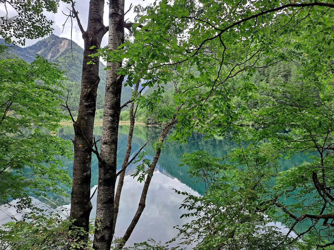 ทะเลกระจก (镜海 Mirror Lake) ผิวน้ำสะท้อนต้นไม้และภูเขา ภาพถ่ายโดย EditQ