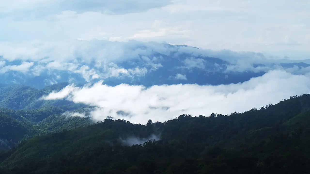 หมอกเหนือภูเขาป่าในอุทยานแห่งชาติคลองวังเจ้า