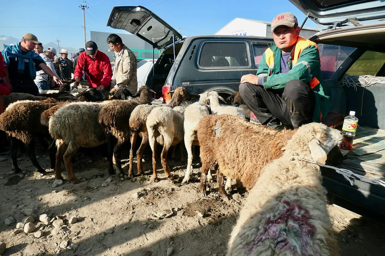 ตลาดสัตว์วันอาทิตย์ที่คาราคอล ภาพจาก Wikimedia Commons ผู้ถ่าย Bruno Rijsman สัญญา CC BY 2.0 ไม่ระบุปีถ่าย
