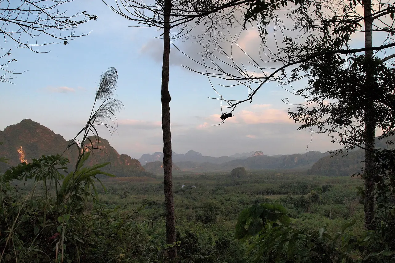 Forest and limestone hills in Khao Sok, Surat Thani