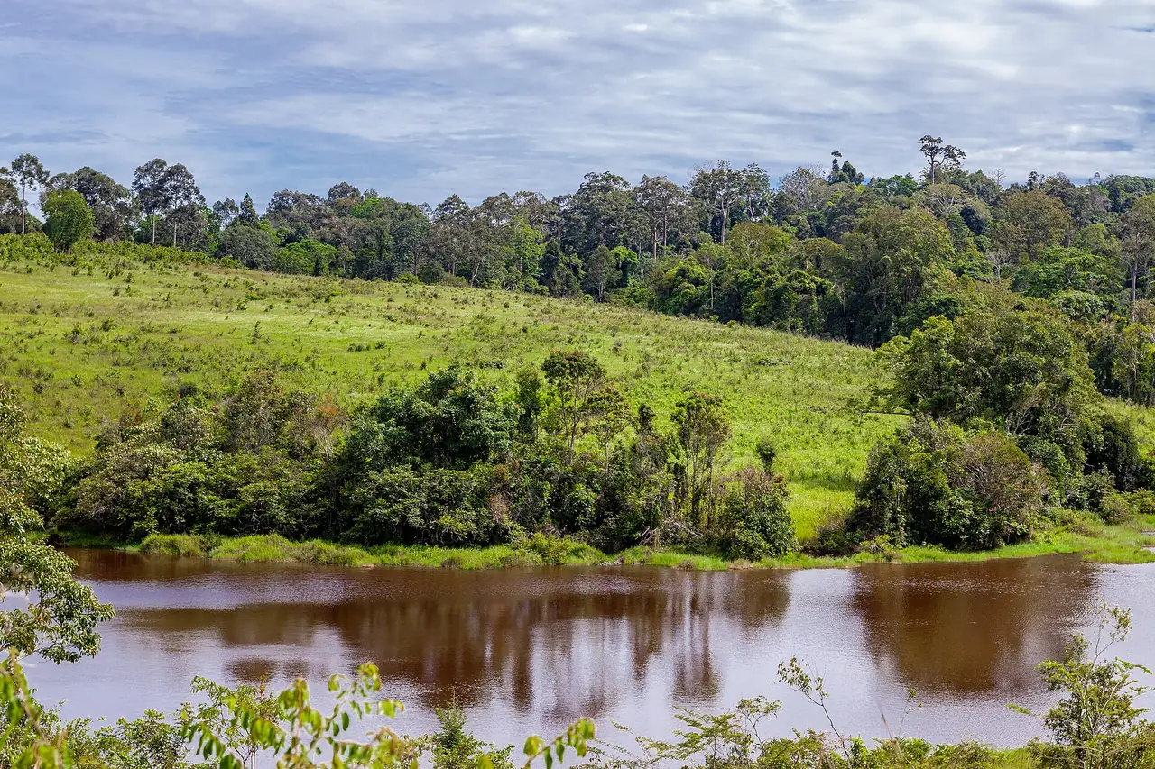 Photo of Khao Yai: A national park close to Bangkok where the car and the base you choose shape the trip