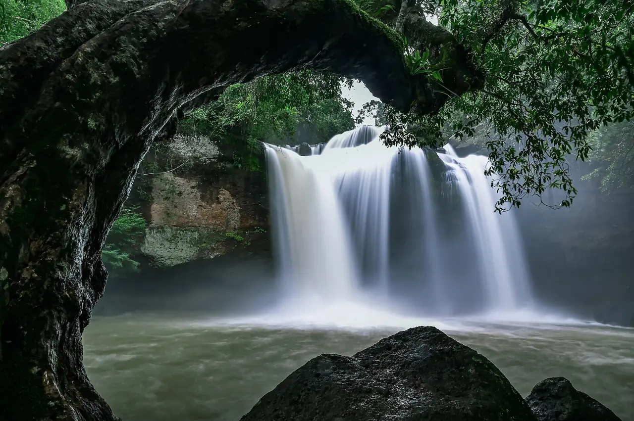 Haew Suwat Waterfall in Khao Yai National Park seen through a tree arch