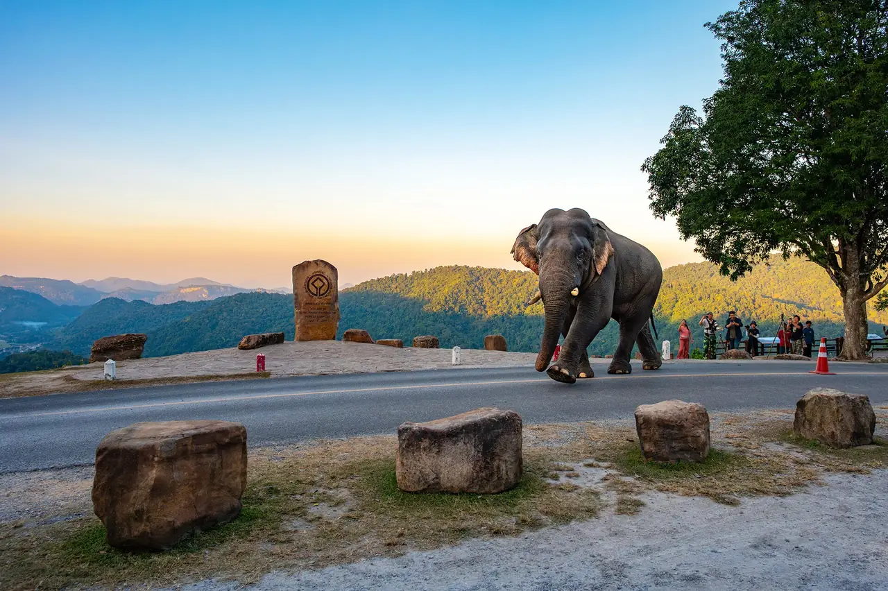 Illustrative view of Khao Yai