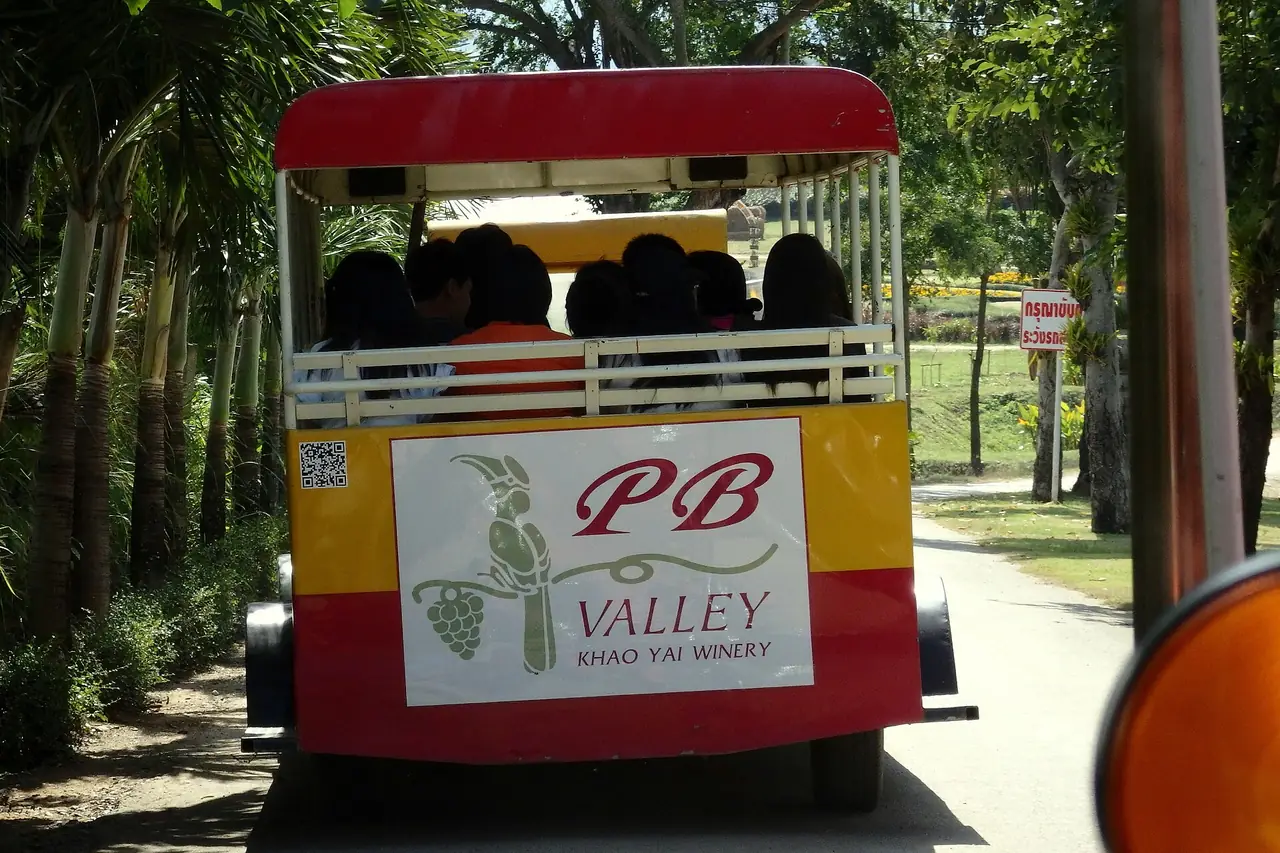 รถรางนำเที่ยวของ PB Valley ในไร่ ภาพถ่ายจาก Wikimedia Commons เป็นภาพประกอบจากอดีต ปัจจุบันรูปแบบรถอาจต่างไป