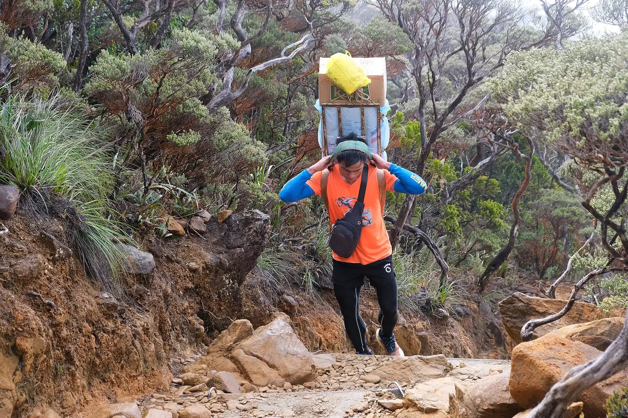 ลูกหาบแบกของบนเส้นทางไปยัง Laban Rata ที่ภูเขากินาบาลู (ภาพประกอบเรื่องลูกหาบ ไม่ใช่ราคา)