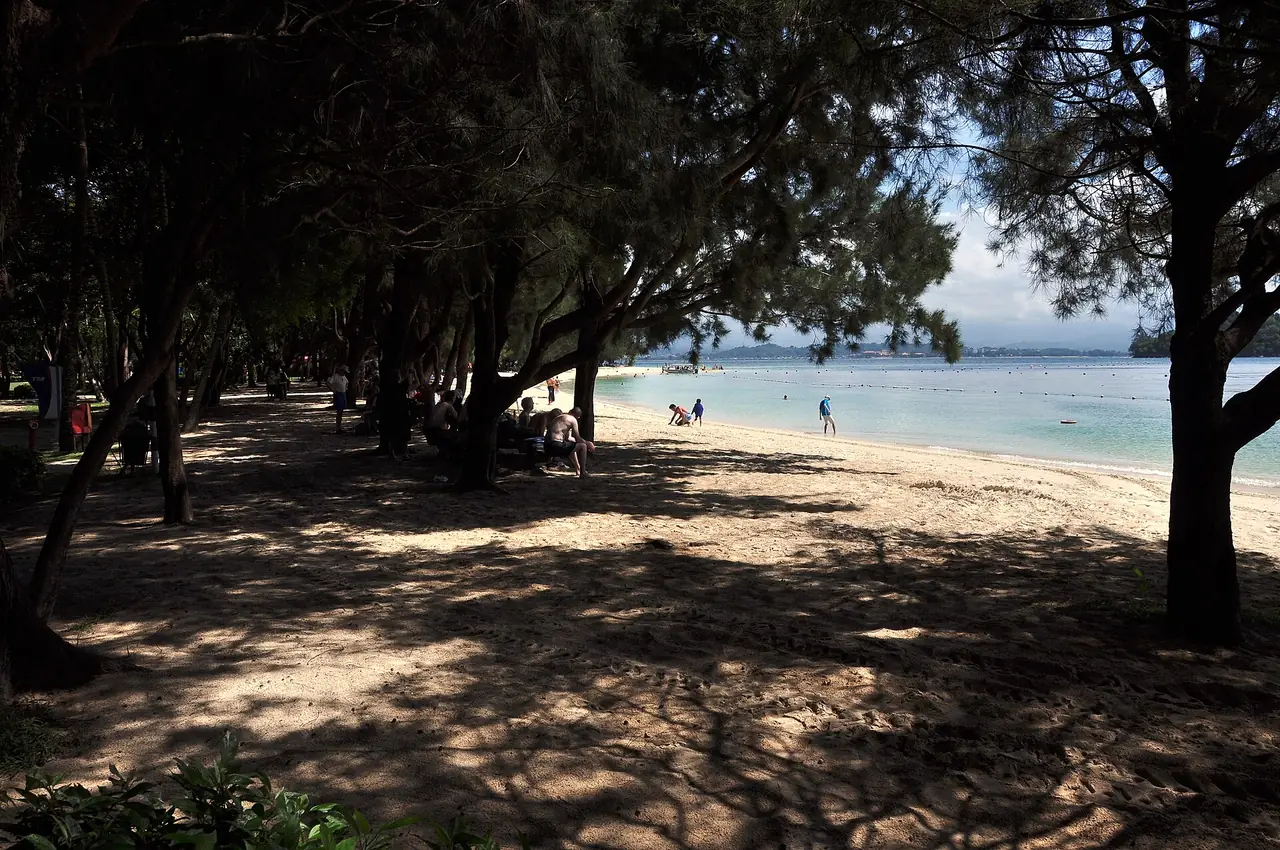 ร่มไม้และหาดบนเกาะมานูกันมองออกไปทางทะเล (ภาพบรรยากาศ)