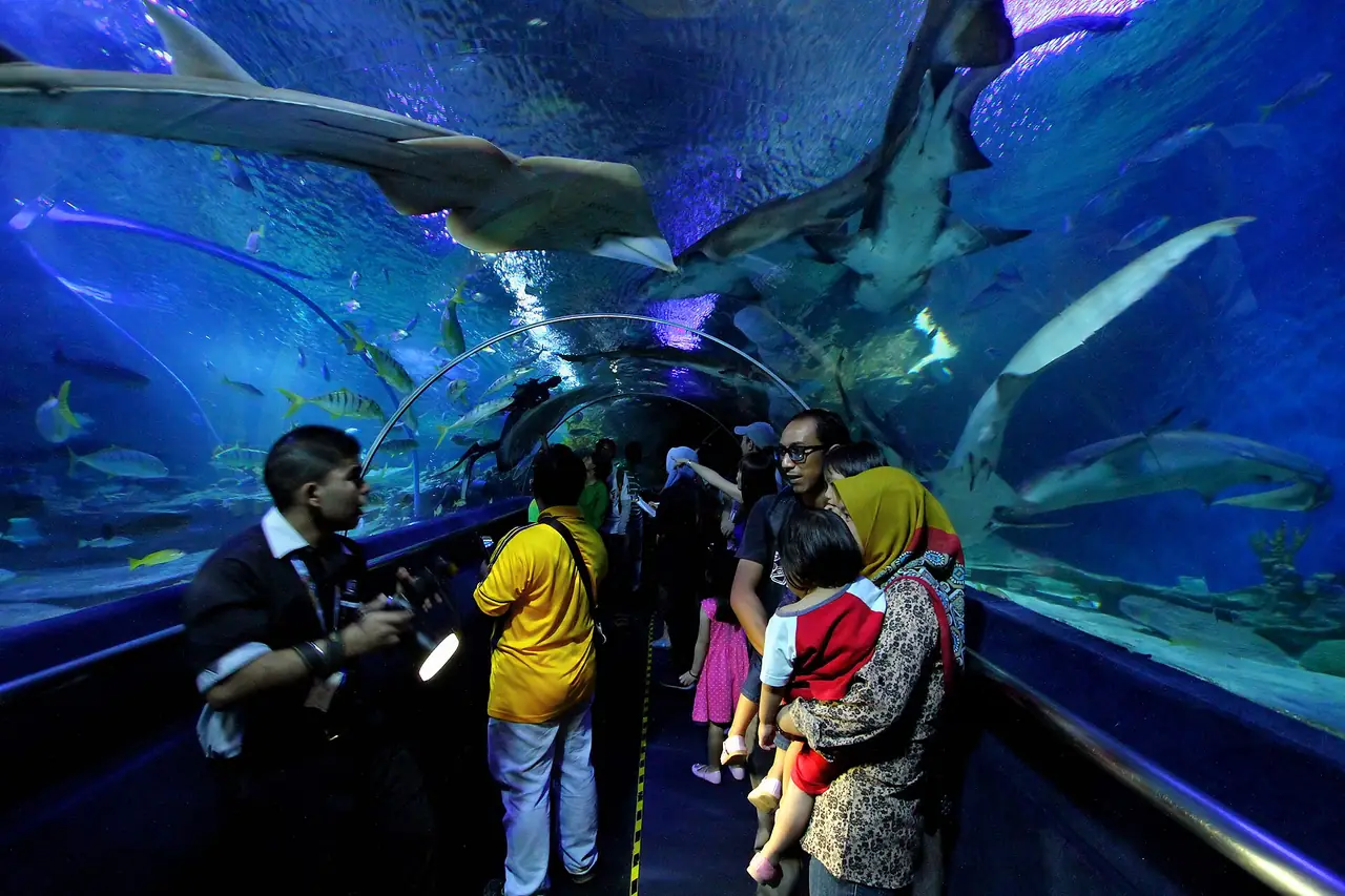 ภาพประกอบ มาเลเซีย: อควาเรีย KLCC 2569 ค่าเข้า 82 ริงกิต เวลาเปิด รอบให้อาหาร