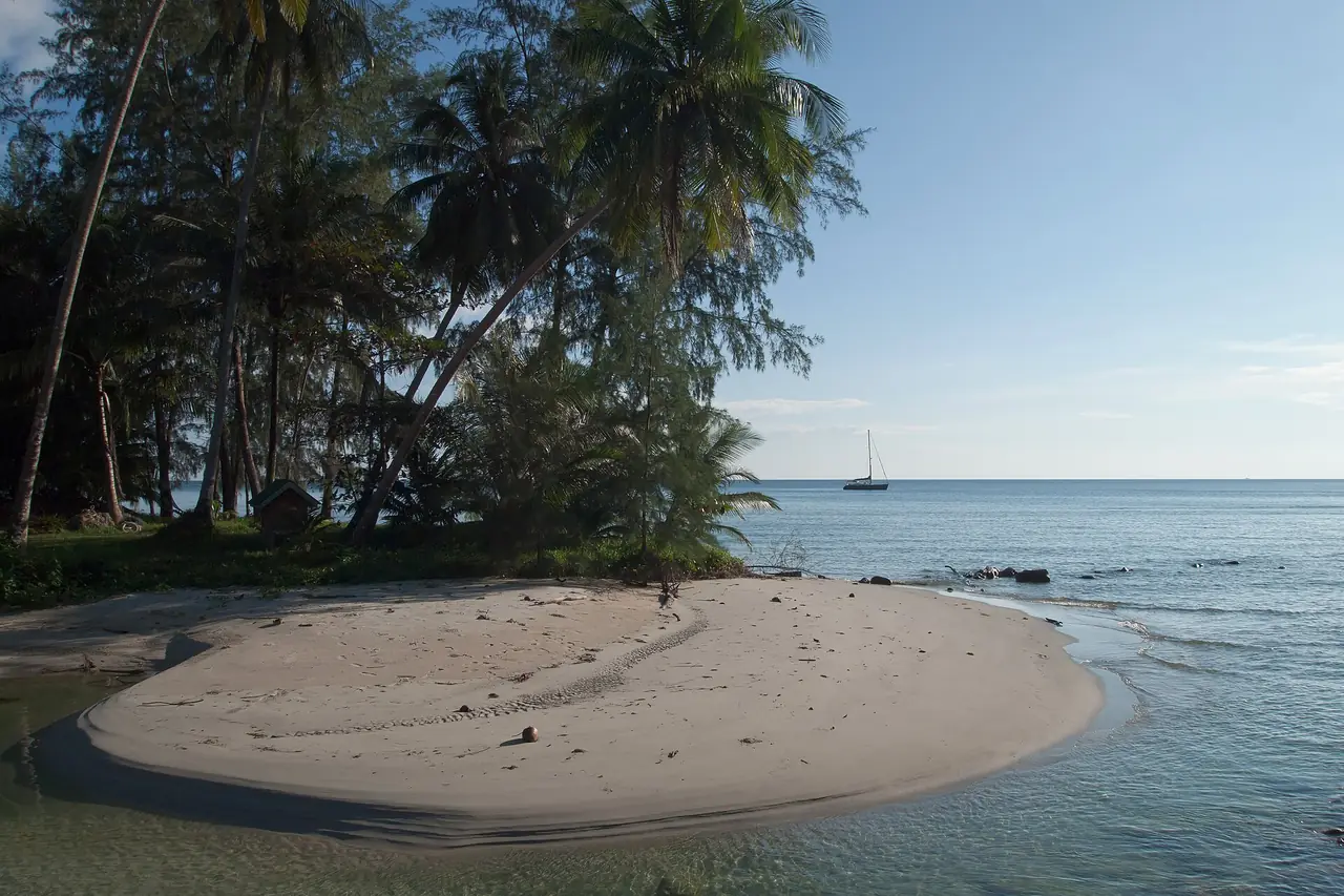 A curved sand bank and palm trees on the shore of Koh Kood