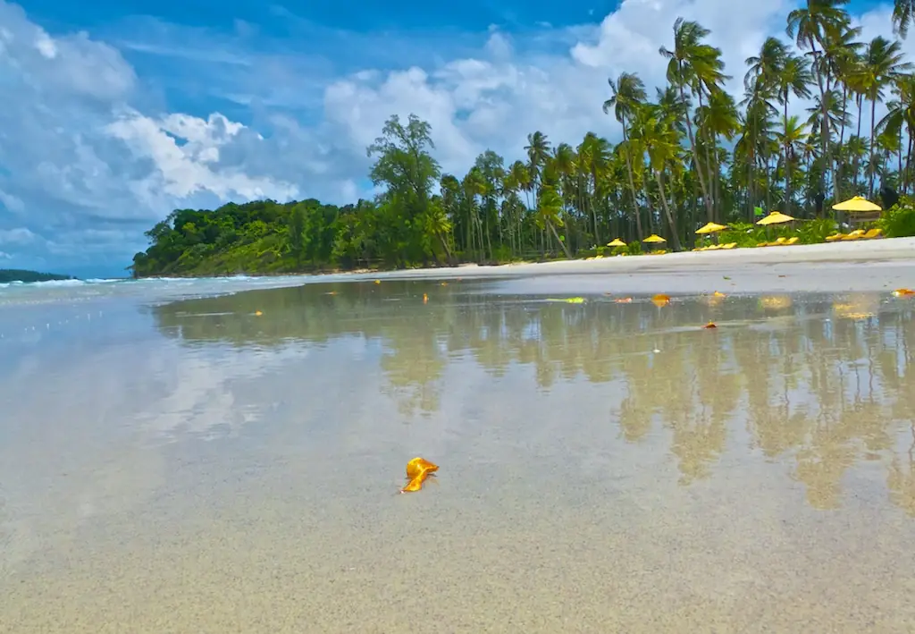 หาดทรายขาวน้ำตื้นและแถวมะพร้าวบนเกาะกูด ภาพบน Commons ตั้งชื่อว่าชายหาดของ Soneva Kiri ซึ่งเป็นรีสอร์ตหรูฝั่งตะวันออกเฉียงใต้ ไม่ใช่ชายหาดสาธารณะที่ใครเข้าก็ได้ ใช้เป็นภาพประกอบเท่านั้น ภาพของ josef knecht จาก Wikimedia Commons