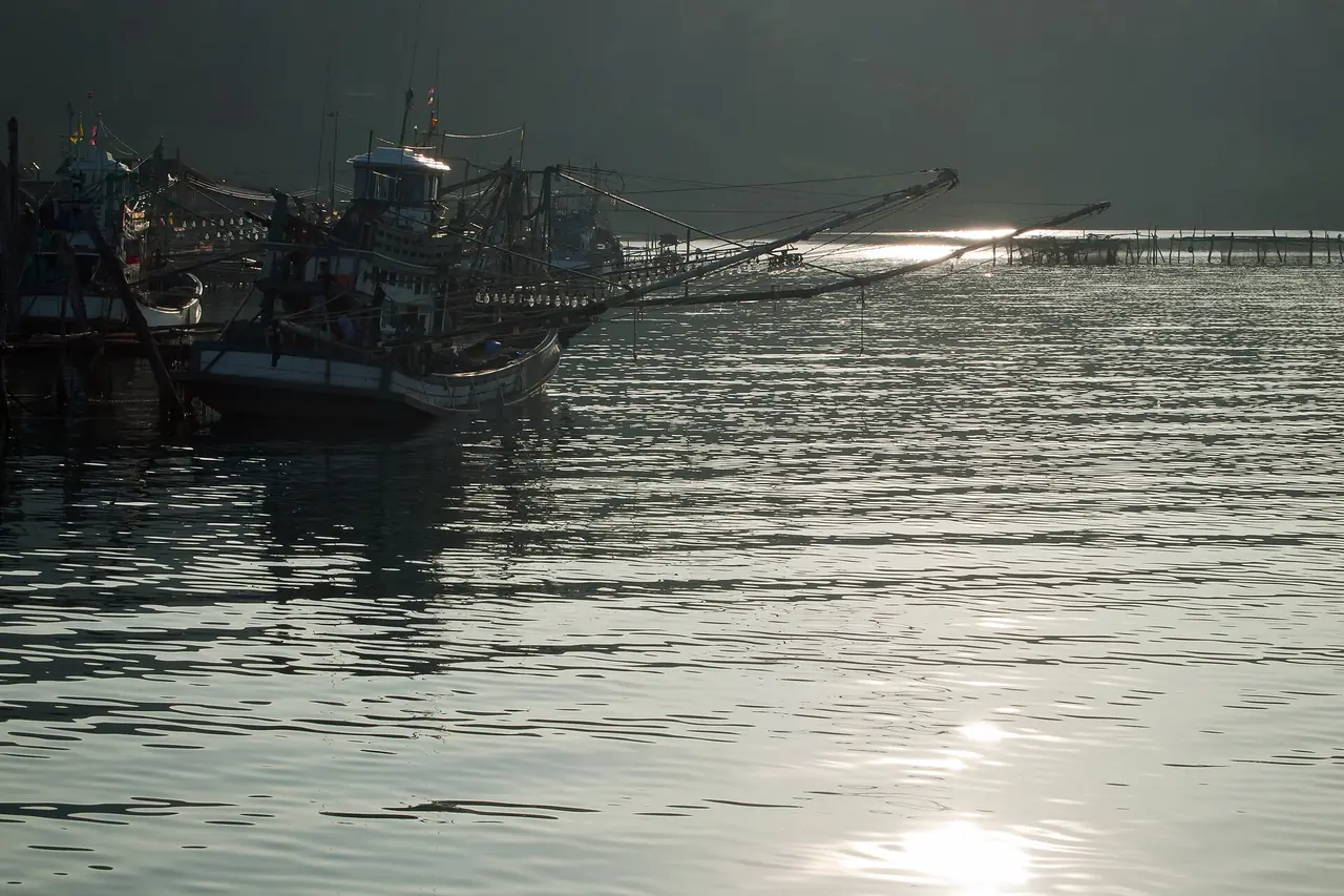 เรือประมงจอดในอ่าวทางตะวันออกของเกาะกูด ตามคำบรรยายภาพบน Commons ไม่ใช่เรือโดยสารและไม่ใช่ท่าอ่าวสลัด ภาพของ Vyacheslav Argenberg จาก Wikimedia Commons
