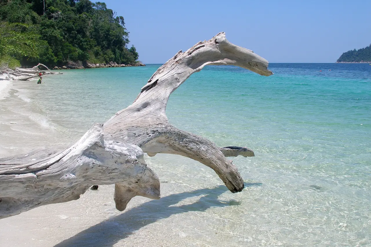 น้ำใสสีฟ้าเขียวที่เกาะราวี ภาพของ Vyacheslav Argenberg จาก Wikimedia Commons