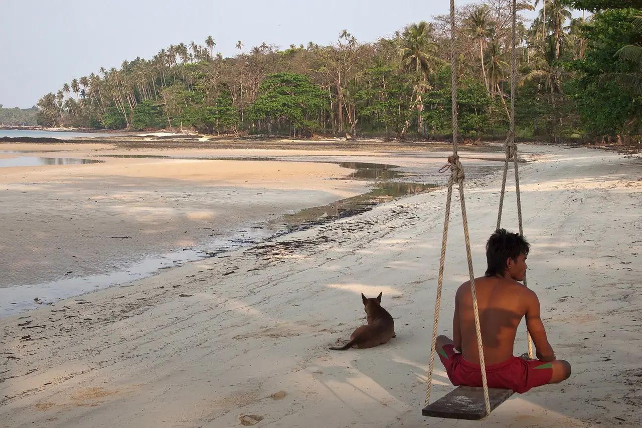 หาดทรายเปิดตอนน้ำลงบนเกาะหมาก มีชายคนหนึ่งนั่งชิงช้าไม้และสุนัขนั่งอยู่ข้าง ๆ ภาพของ Vyacheslav Argenberg จาก Wikimedia Commons ตามคำบรรยายภาพบน Commons เป็นลากูนฝั่งตะวันตก