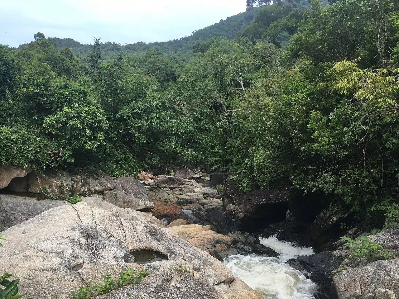 ลำธารและโขดหินในอุทยานแห่งชาติธารเสด็จ-เกาะพะงัน ภาพถ่ายจาก Wikimedia Commons Commons บอกว่าเป็นน้ำตกธารเสด็จ