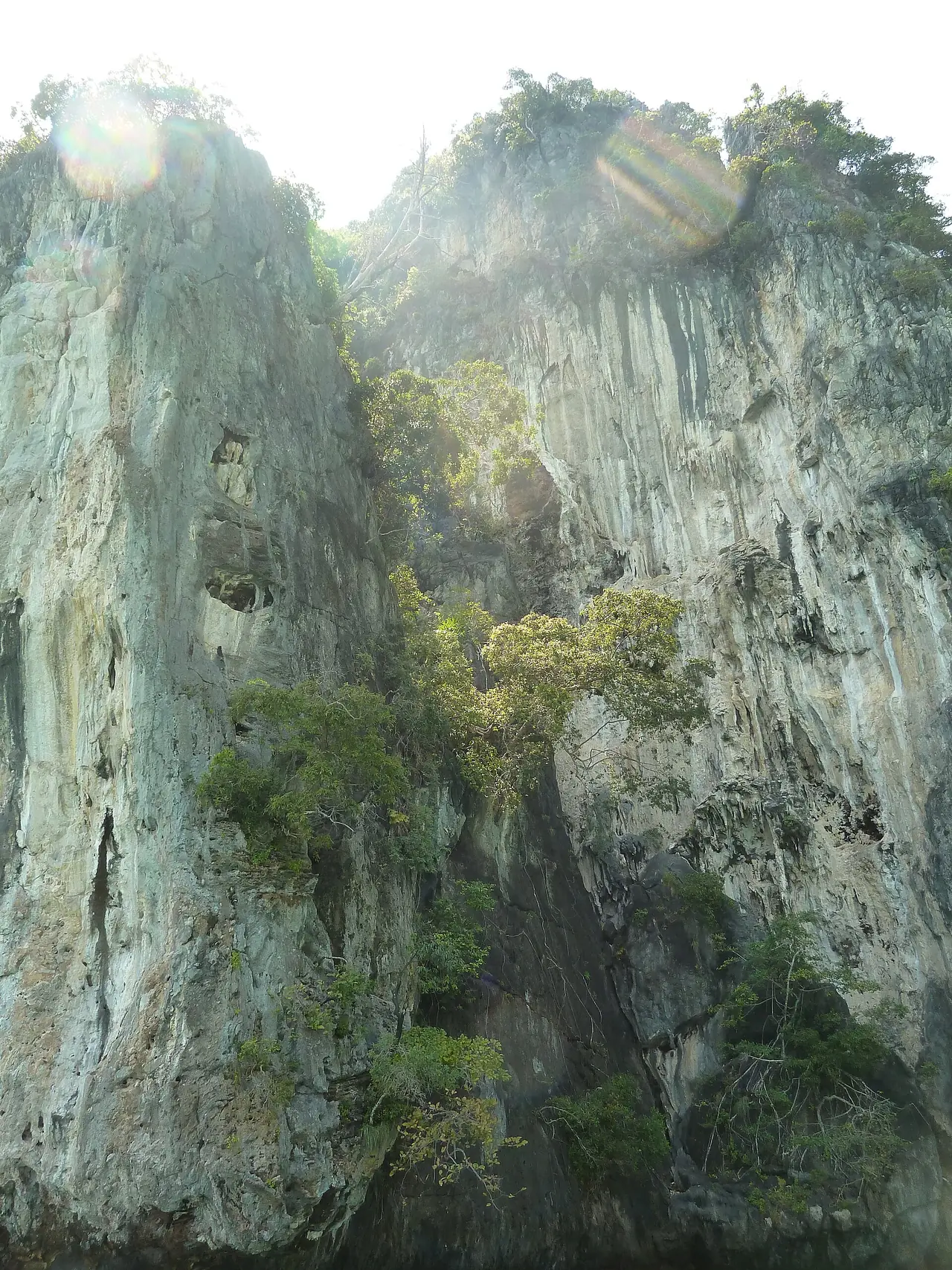 ผาหินปูนสูงที่ผู้ถ่ายตั้งชื่อภาพว่า Monkey Beach เกาะพีพี ภาพถ่ายจาก Wikimedia Commons