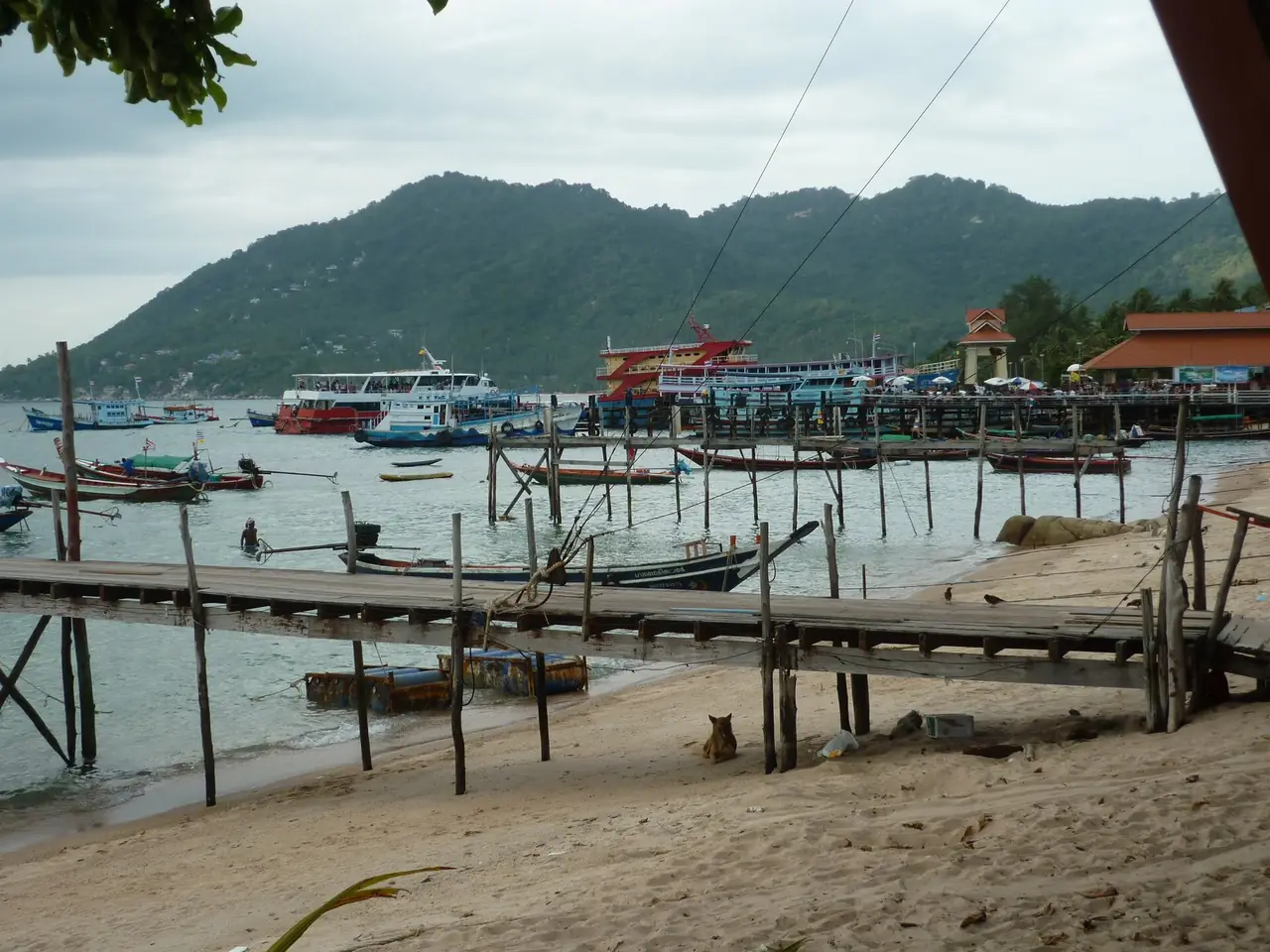 ท่าเทียบเรือไม้และเรือหลายลำที่อ่าวแม่หาด เกาะเต่า ภาพของ Dirk Enthoven จาก Wikimedia Commons