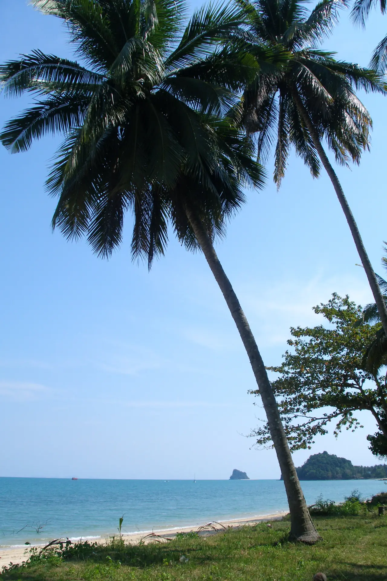 ภาพประกอบ เกาะยาวน้อย: หาดและจุดชมวิวเกาะยาวน้อย ป่าทราย ท่าเขา เกาะนก ปั่นจักรยาน